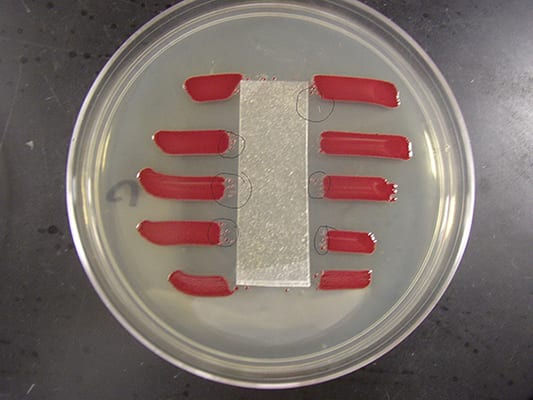 aatcc_microbiology_lab